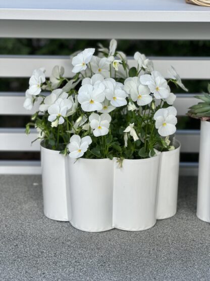 Panteringsskål Blomma metall L, offwhite - Bild 3