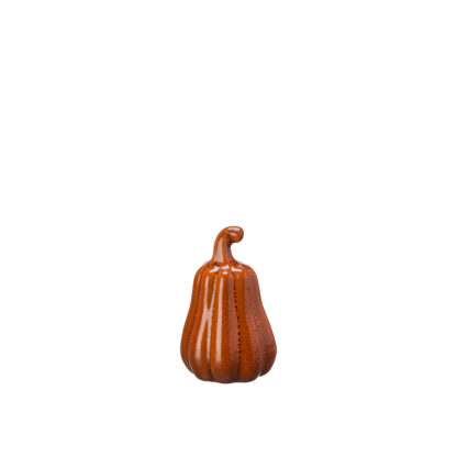 Minipumpor Judy, orange (2st) - Bild 3