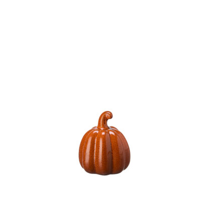 Minipumpor Judy, orange (2st) - Bild 2