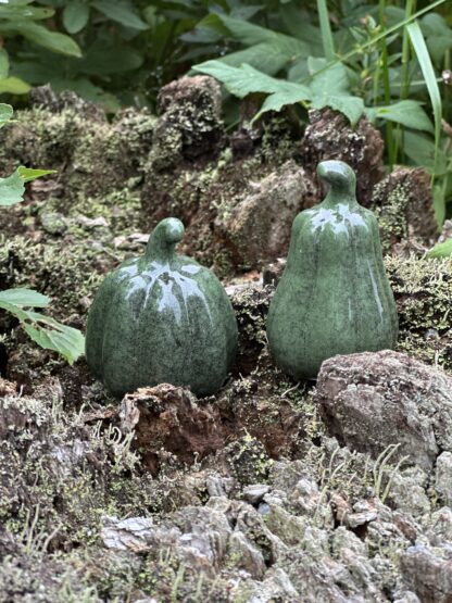 Minipumpor Judy, gröna (2st) - Bild 4