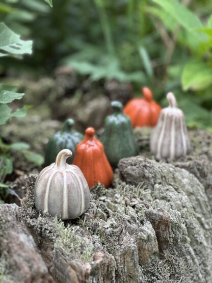 Minipumpor Judy, orange (2st) - Bild 4
